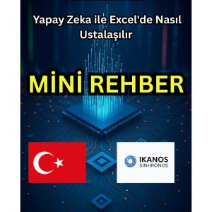 Mini Rehber
